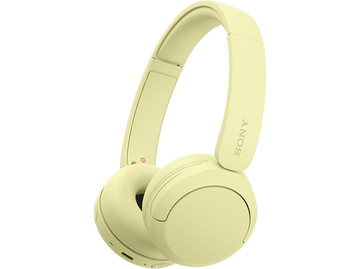 alt1