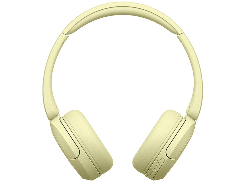 alt1