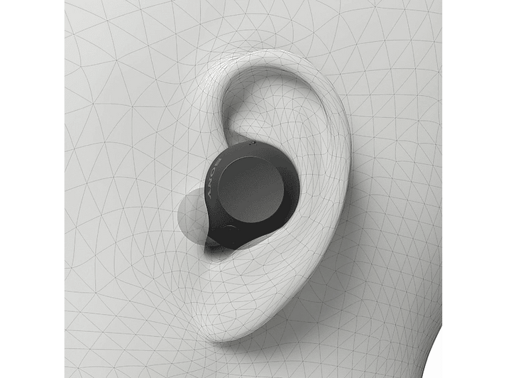 alt1