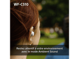 SONY Écouteurs sans fil Noir (WFC510B.CE7)
