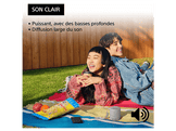 SONY SRSXB100H.CE7 - Enceinte portable Gris Enceinte portable Gris