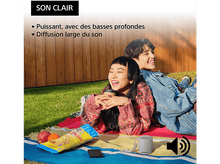 Charger l&#39;image dans la galerie, SONY SRSXB100H.CE7 - Enceinte portable Gris Enceinte portable Gris
