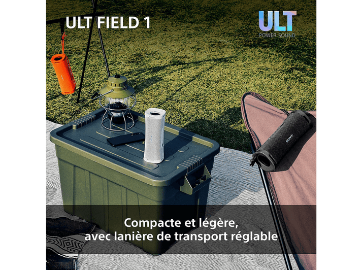 alt1