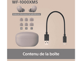 SONY WF-1000XM5 - Écouteurs sans fil avec réduction de bruit Smoky Pink
