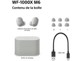 SONY WF-1000XM6 - Écouteurs sans fil avec réduction de bruit - Argent platiné