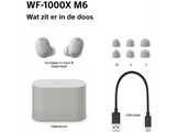 SONY WF-1000XM6 - Écouteurs sans fil avec réduction de bruit - Argent platiné