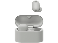 alt1