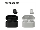 SONY WF-1000XM6 - Écouteurs sans fil avec réduction de bruit - Argent platiné