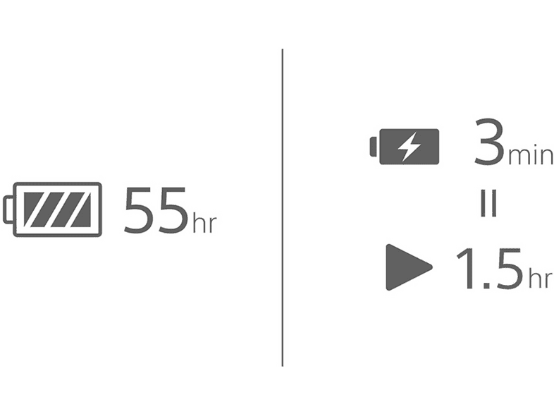 alt1