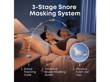 Charger l'image dans la galerie, alt1
