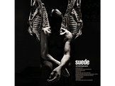 Suede - Antidepressants - LP