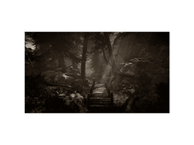 Charger l&#39;image dans la galerie, alt1
