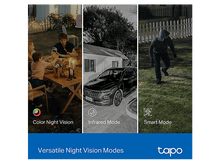 Charger l'image dans la galerie, alt1
