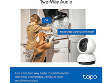 Charger l&#39;image dans la galerie, Une scène de cuisine avec un enfant, un chien et une caméra de sécurité, avec un dialogue en bulle de texte.
