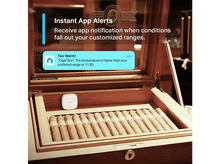 Charger l&#39;image dans la galerie, alt1
