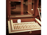 TAPO TAPO Capteur de chaleur et d'humidité intelligent (T310)