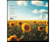 Charger l'image dans la galerie, alt1
