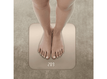 Charger l'image dans la galerie, alt1
