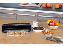 Charger l'image dans la galerie, alt1
