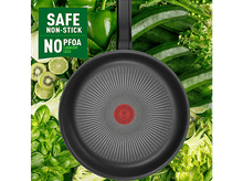 Charger l'image dans la galerie, alt1
