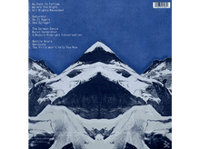 Charger l&#39;image dans la galerie, The Chemical Brothers - We Are The Night LP
