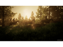 Charger l&#39;image dans la galerie, Trois personnes à cheval traversant une forêt au coucher du soleil, silhouettées contre la lumière.
