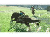 The Legend of Zelda: Breath of the Wild FR Switch