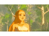 The Legend of Zelda: Breath of the Wild FR Switch