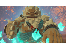 Charger l&#39;image dans la galerie, The Legend of Zelda: Breath of the Wild FR Switch
