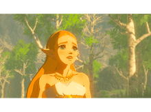 Charger l&#39;image dans la galerie, The Legend of Zelda: Breath of the Wild FR Switch
