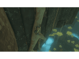 The Legend Of Zelda Tears Of The Kingdom FR Switch