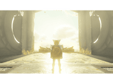 The Legend Of Zelda Tears Of The Kingdom FR Switch