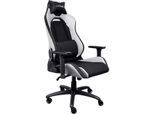 Charger l&#39;image dans la galerie, TRUST Chaise gaming Ruya Blanc (GTX14W)
