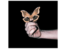 Charger l'image dans la galerie, alt1
