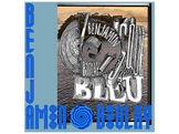 VIRGIN MUSIC LE DISQUE BLEU