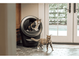 WHISKER LITTER-ROBOT 4 - BLACK - EU Litière
