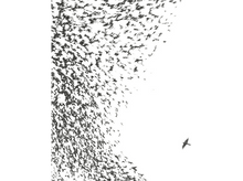 Charger l&#39;image dans la galerie, Wilco - Sky Blue Sky LP
