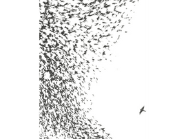 Wilco - Sky Blue Sky LP