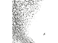 Wilco - Sky Blue Sky LP