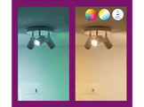 WIZ Ampoule LED intelligente Spot GU10 50W Lumière blanche et colorée (929003772322)