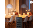 WIZ Télécommande Wizmote pour éclairage WiFi (78922000)