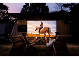 XGIMI Halo+ GTV  Projecteur intelligent portable FHD 700 ISO Google TV
