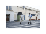 XIAOMI Trottinette électrique 6 GL