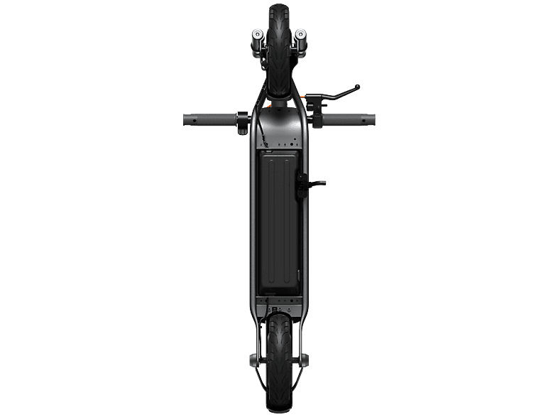 alt1