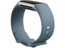 Charger l&#39;image dans la galerie, FITBIT Activity tracker Charge 5 Steel Blue Platinum Stainless Steel (FB421SRBU)
