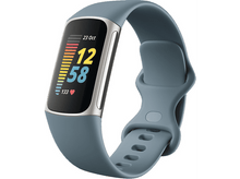 Charger l&#39;image dans la galerie, FITBIT Activity tracker Charge 5 Steel Blue Platinum Stainless Steel (FB421SRBU)
