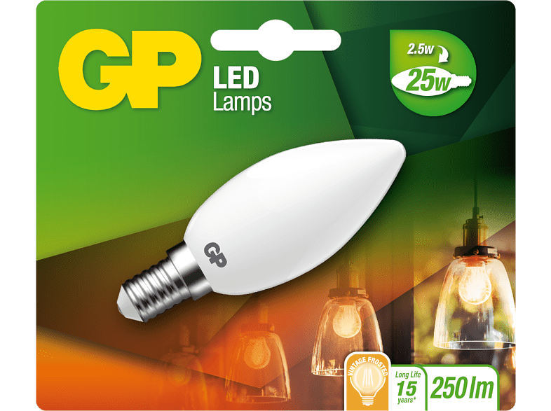 GP LIGHTING Ampoule Vintage Frost E14 2.5 W (745GPCAN080411CE1)