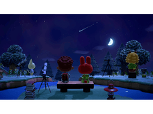Charger l&#39;image dans la galerie, Animal Crossing: New Horizons FR Switch
