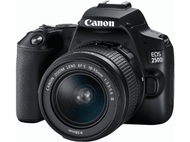 CANON Appareil photo reflex EOS 250D + 18-55 mm DC (3454C003AA)