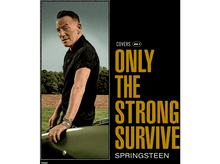 Charger l&#39;image dans la galerie, Bruce Springsteen - only The Strong Survive - LP

